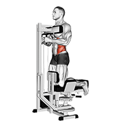 Lever Kneeling Twist animated exercise demonstration