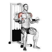 Lever Lateral Raise animated exercise demonstration