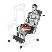 Seated leg extension demonstration with the knee aligned to the machine pivot, shin pad above the ankles, hips supported, and controlled knee extension