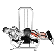 Lying leg curl demonstration showing proper hip alignment, soft grip on handles, pad resting above ankles, and controlled knee flexion