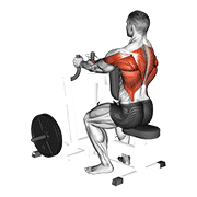 Lever Narrow Grip Seated Row animated exercise demonstration