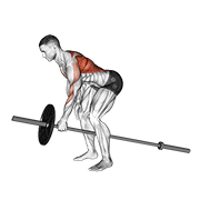 Lever One Arm Bent Over Row animated exercise demonstration
