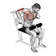 Lever Overhand Triceps Dip animated exercise demonstration