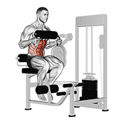Lever Seated Crunch (Chest Pad) animated exercise demonstration