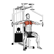 Lever Seated Fly animated exercise demonstration