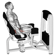 Lever Seated Hip Abduction animated exercise demonstration