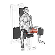 Lever Seated Hip Adduction animated exercise demonstration