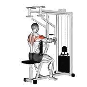 Lever Seated Reverse Fly (Parallel Grip) animated exercise demonstration