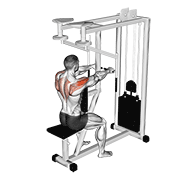 Lever Seated Reverse Fly animated exercise demonstration