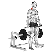 Lever Shrug animated exercise demonstration
