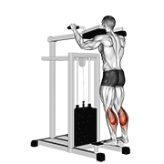 Lever Standing Calf Raise animated exercise demonstration