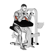 Lever Triceps Extension animated exercise demonstration