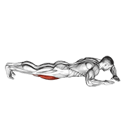 Lying (Side) Quads Stretch animated exercise demonstration