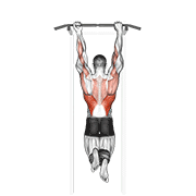 Mixed Grip Chin-Up animated exercise demonstration