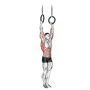 Muscle Up animated exercise demonstration