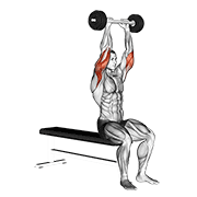 Olympic Barbell Triceps Extension animated exercise demonstration