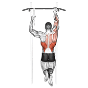 One Arm Chin-Up animated exercise demonstration