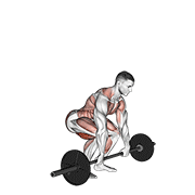 Power Clean animated exercise demonstration