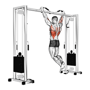 Pull Up (Neutral Grip) animated exercise demonstration