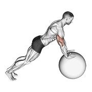 Push-Up (On Stability Ball) animated exercise demonstration