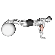 Push-Up (On Stability Ball) animated exercise demonstration