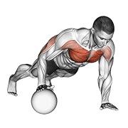 Push-Up Medicine Ball animated exercise demonstration