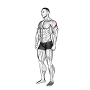 Rear Deltoid Stretch animated exercise demonstration