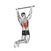 Rear Pull-Up animated exercise demonstration