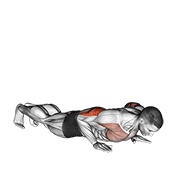 Reverse Dip animated exercise demonstration