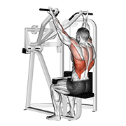 Reverse Grip Machine Lat Pulldown animated exercise demonstration