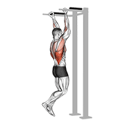Reverse Grip Pull-Up animated exercise demonstration