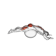 Reverse Hyper Extension (On Stability Ball) animated exercise demonstration