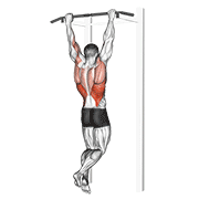 Rocky Pull-Up Pulldown animated exercise demonstration