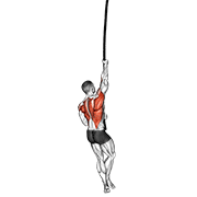 Rope Climb animated exercise demonstration