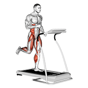 Run (Equipment) animated exercise demonstration