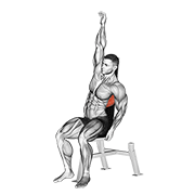 Seated Lower Back Stretch animated exercise demonstration