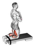 Nordic Curl animated exercise demonstration