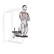Self Assisted Inverse Leg Curl animated exercise demonstration