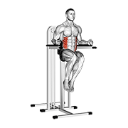 Side Hip (On Parallel Bars) animated exercise demonstration