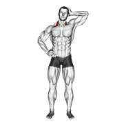 Side Push Neck Stretch animated exercise demonstration