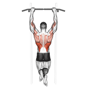 Side-To-Side Chin animated exercise demonstration