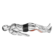 Single Leg Platform Slide animated exercise demonstration