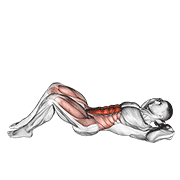 Sit-Up V. 2 animated exercise demonstration