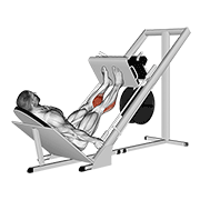 Sled 45в° Calf Press animated exercise demonstration