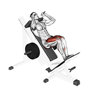 Sled Closer Hack Squat animated exercise demonstration