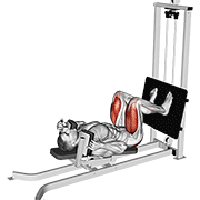 Sled Lying Squat animated exercise demonstration
