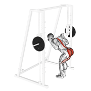 Smith Bent Knee Good Morning animated exercise demonstration