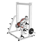 Smith Deadlift animated exercise demonstration