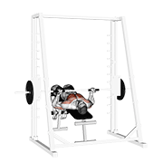 Smith Decline Reverse-Grip Press animated exercise demonstration