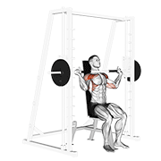 Smith Shoulder Press animated exercise demonstration